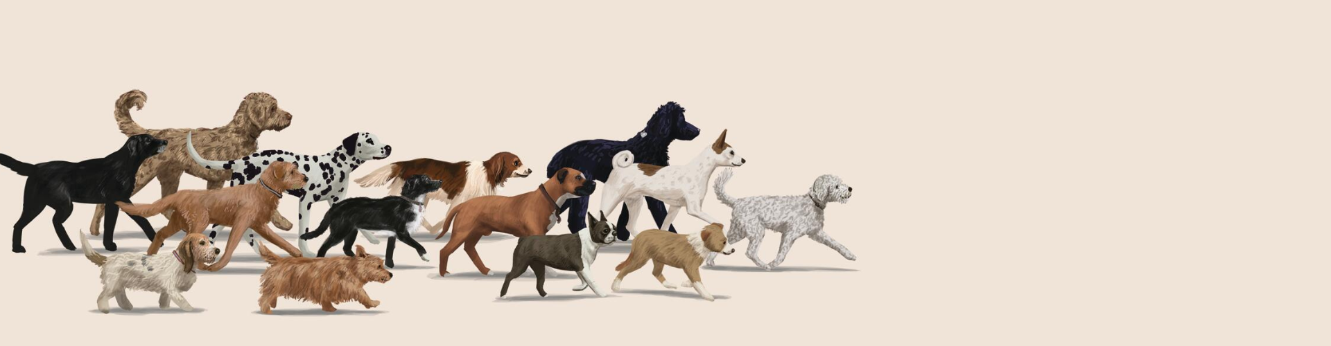 De leukste kinderboeken over honden