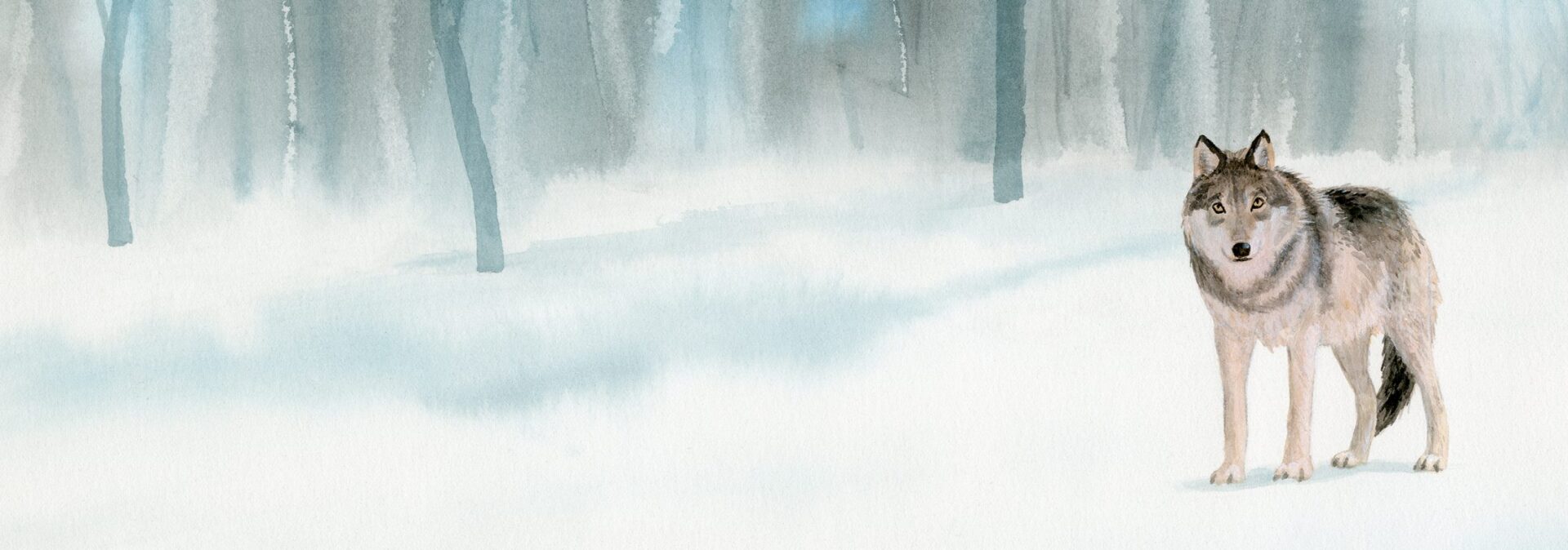 Silas en de wolf - Selma Noort, Martijn van der Linden