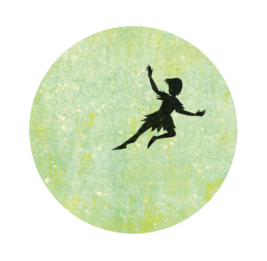 Vlieg mee met Peter Pan - JM Barrie - Monique van der Zanden - Martijn van der Linden