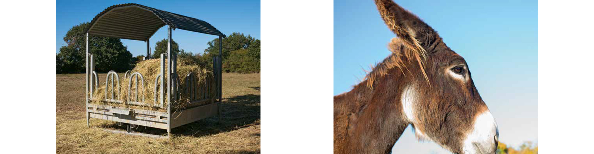 Mijn eerste fotoboek op de boerderij