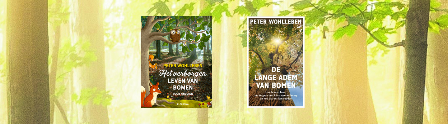 Ontdek de wereld van bomen met Wohlleben