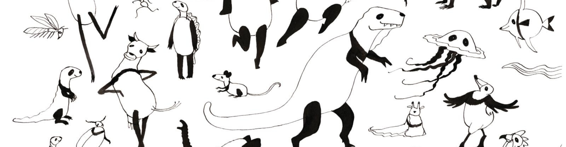 De kleur van de panda