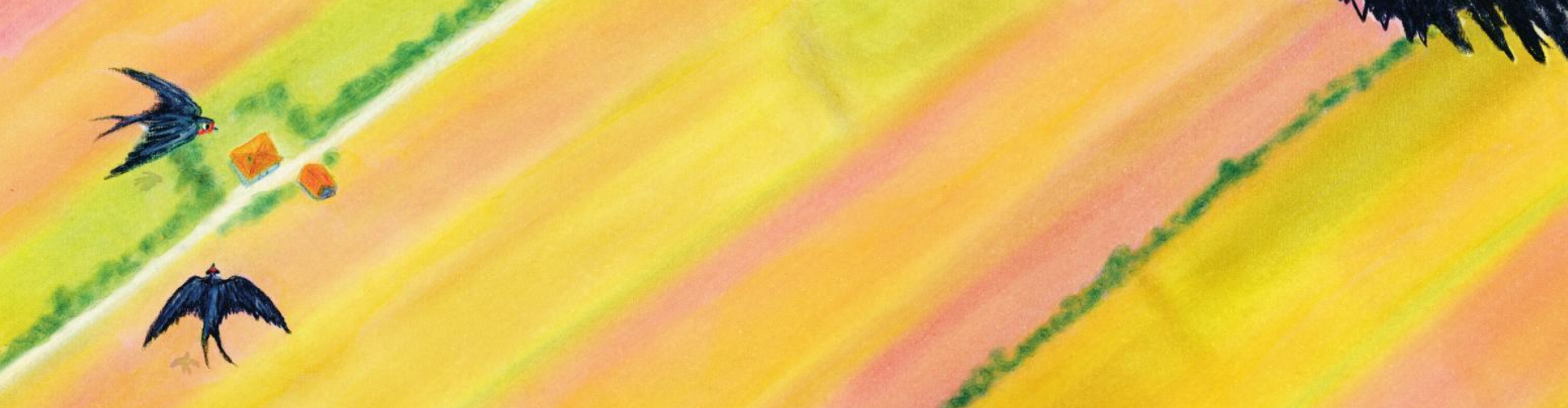 Parapluutjes van geluk