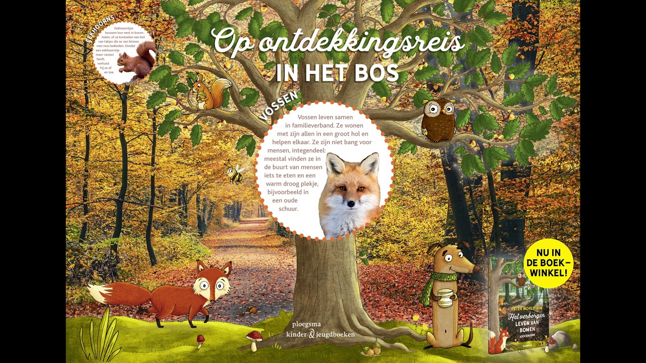 Het verborgen leven van bomen voor kinderen - Peter Wohlleben