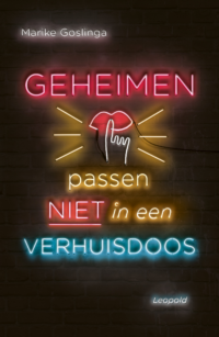 Geheimen passen niet in een verhuisdoos - Marike Goslinga