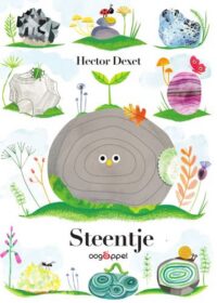 Steentje - Hector Dexet