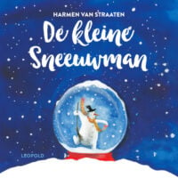 De kleine sneeuwman - Harmen van Straaten