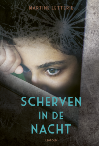 Scherven in de nacht - Martine Letterie