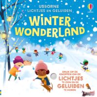 Winter wonderland - 