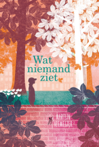 Wat niemand ziet - Martijn Niemeijer