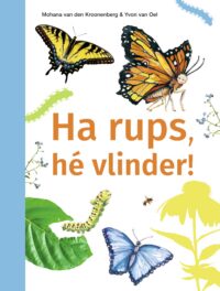 ik lees informatief – Ha rups, hé vlinder! - Mohana van den Kroonenberg, Yvon van Oel