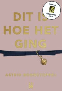 Dit is hoe het ging - Astrid Boonstoppel