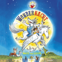 Wondernacht - Paul van Loon, Hugo van Look