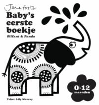 Baby’s eerste boekje: Olifant & Panda - Jane Foster