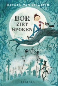 Bor ziet spoken - Harmen van Straaten