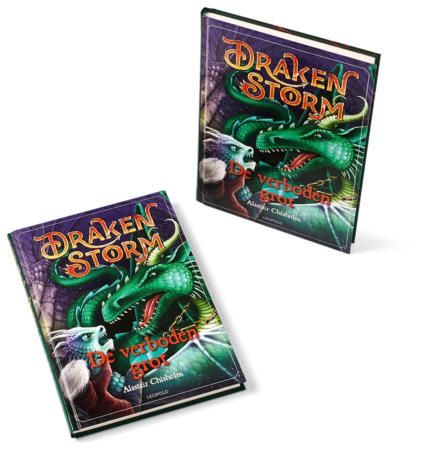 Drakenstorm 2 - De verboden grot - Alastair Chisholm - Kinderboeken.nl