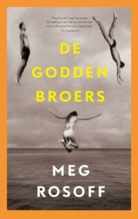 De Godden broers - Meg Rosoff