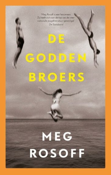 De Godden broers