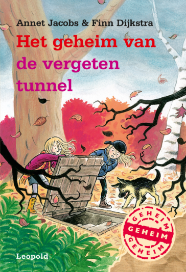 Het geheim van de vergeten tunnel