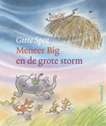 Meneer Big en de grote storm