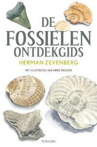 De fossielen ontdekgids - 